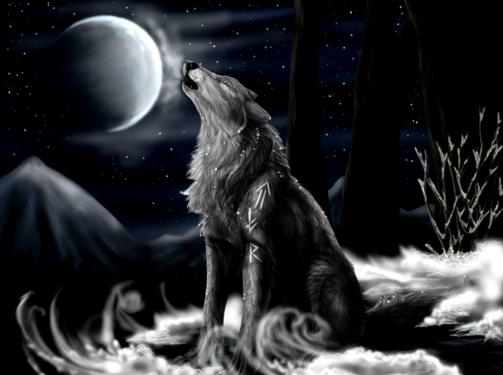 Night wolf images