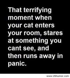 Terrifying Moments - Funny Quotes