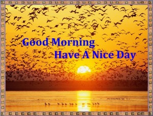 Have A Nice Day - Good Morning Quotes