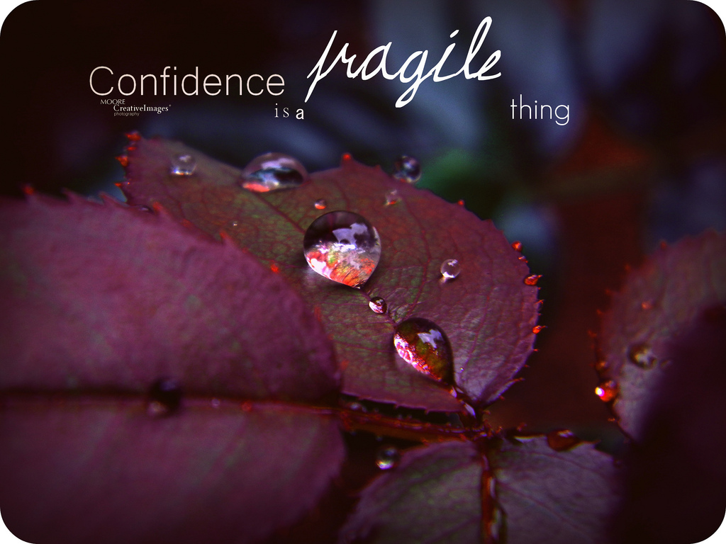 Confidence is Fragile Thing - Quotes About Confidence