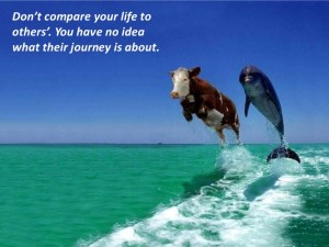 Don't Compare your life with others - Inspiration Quotes About Life Lessons