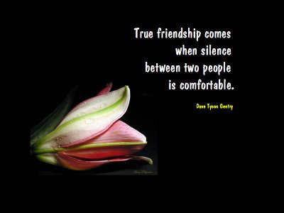 True Friendship - Beautiful Christian Friendship Quotes