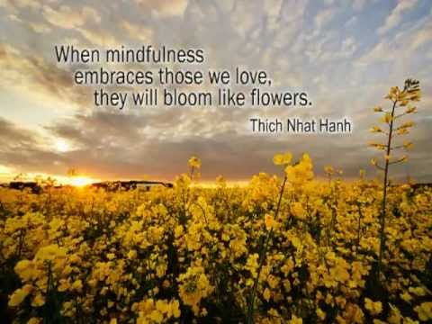 When mindfulness embraces those we love. they will bloom like flowers buddhist inspirational quotes