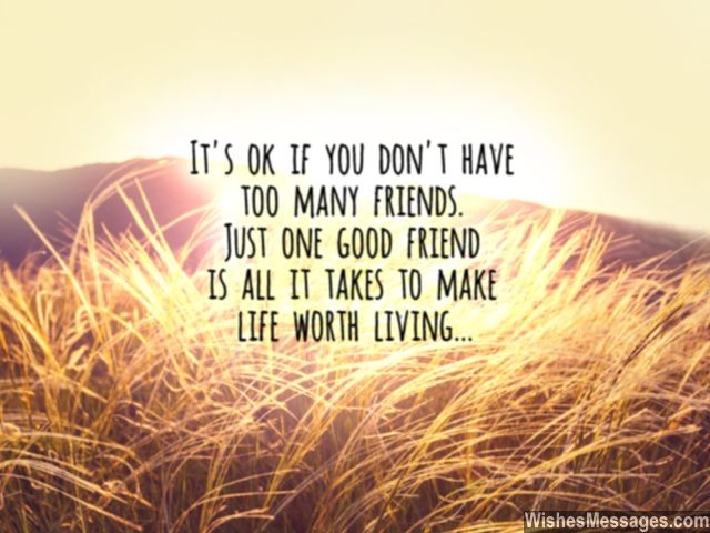 Many Friends  quotes on true friendship
