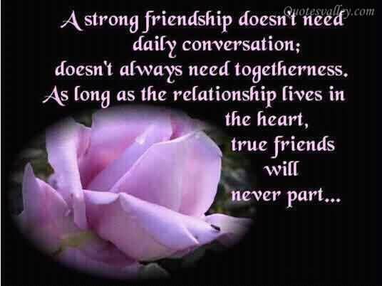 Daily Quotes-Friendship Quotes