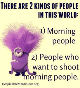 Funny - Best Funny Good morning funny quotes