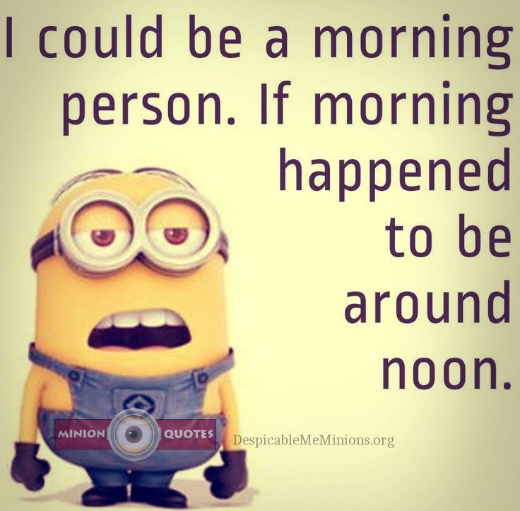 50 Best Funny Good Morning Quotes That Will Brighten Your