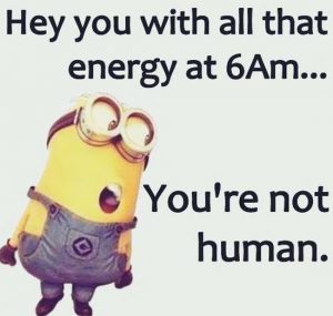 Funny - Best Funny Good Morning Quotes