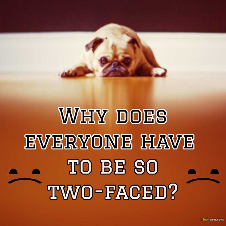 to be so two faced