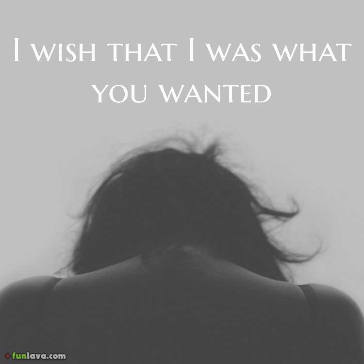 I wish that I was what you wanted.