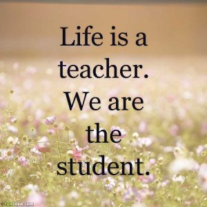 life-is-a-teacher