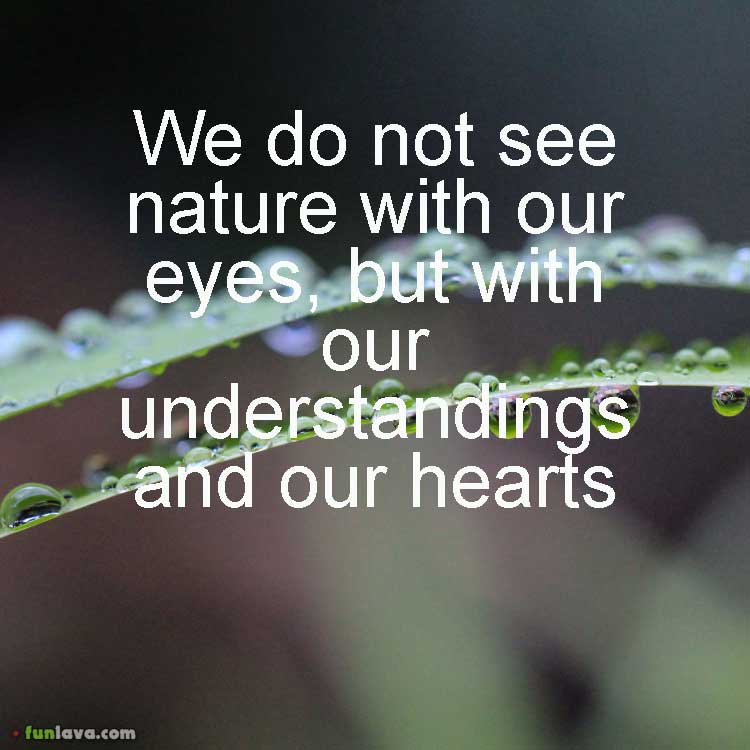 see-nature-with-hearts